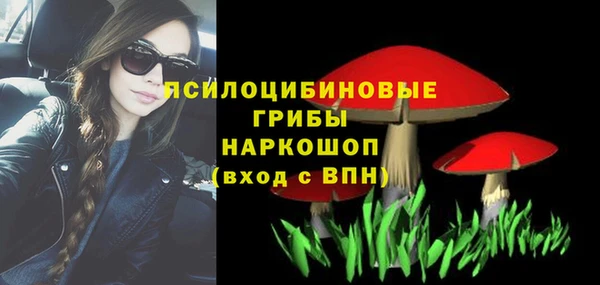 мдпв Куйбышев