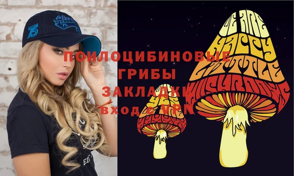 марки nbome Кукмор